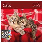 Nástěnný kalendář 2025 - Cats