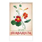 Nástěnný kalendář 2025 - Herbarium