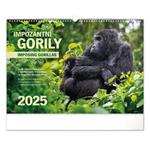 Nástěnný kalendář 2025 Impozantní gorily