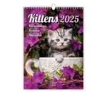 Nástěnný kalendář 2025 Kittens/Katzenbabys/Koťátka/Mačičky