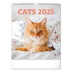 Nástěnný kalendář 2025 Kočky