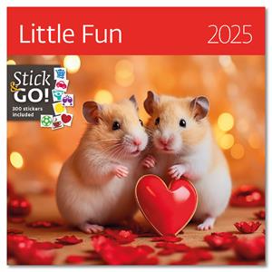 Nástěnný kalendář 2025 - Little Fun