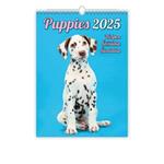 Nástěnný kalendář 2025 Puppies/Welpen/Štěňátka/Šteniatka