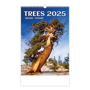 Nástěnný kalendář 2025 - Trees/Bäume/Stromy