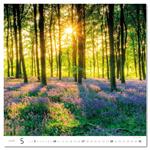 Nástěnný kalendář 2026 - Forest/Wald/Les