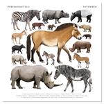 Nástěnný poznámkový kalendář 2025 Animalium