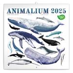 Nástěnný poznámkový kalendář 2025 Animalium