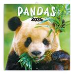 Nástěnný poznámkový kalendář 2025 Pandy