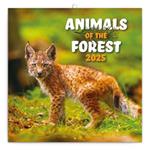 Nástěnný poznámkový kalendář 2025 Zvířátka z lesa