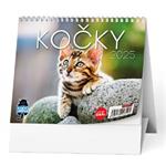 Stolní kalendář 2025 IDEÁL - Kočky /s kočičími jmény/