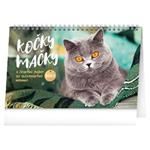 Stolní kalendář 2025 Kočky – Mačky CZ/SK